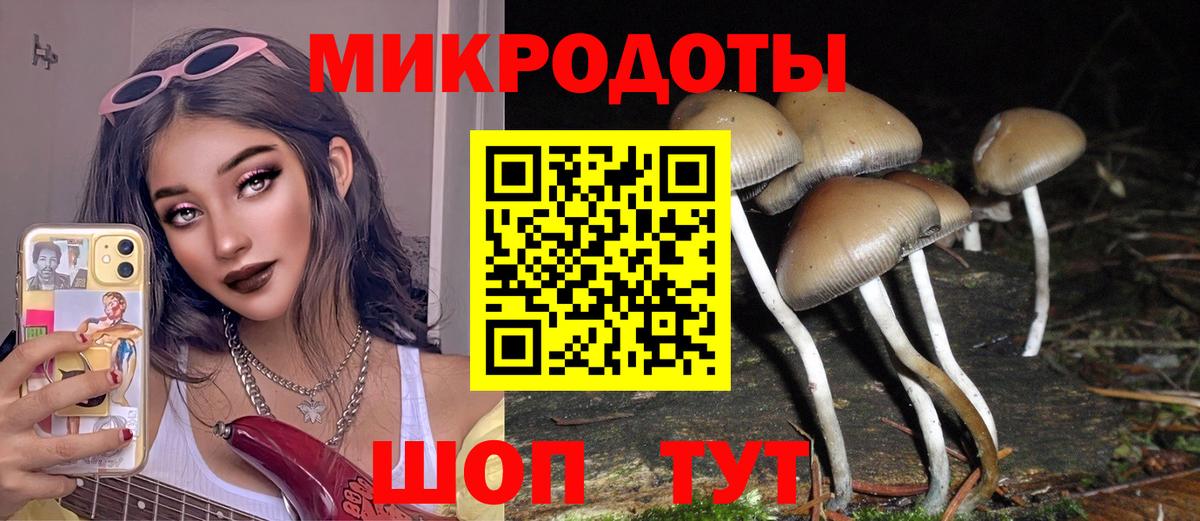 Псилоцибиновые грибы мицелий  Галлюциногенные грибы мицелий  Лабинск  Вход с VPN 